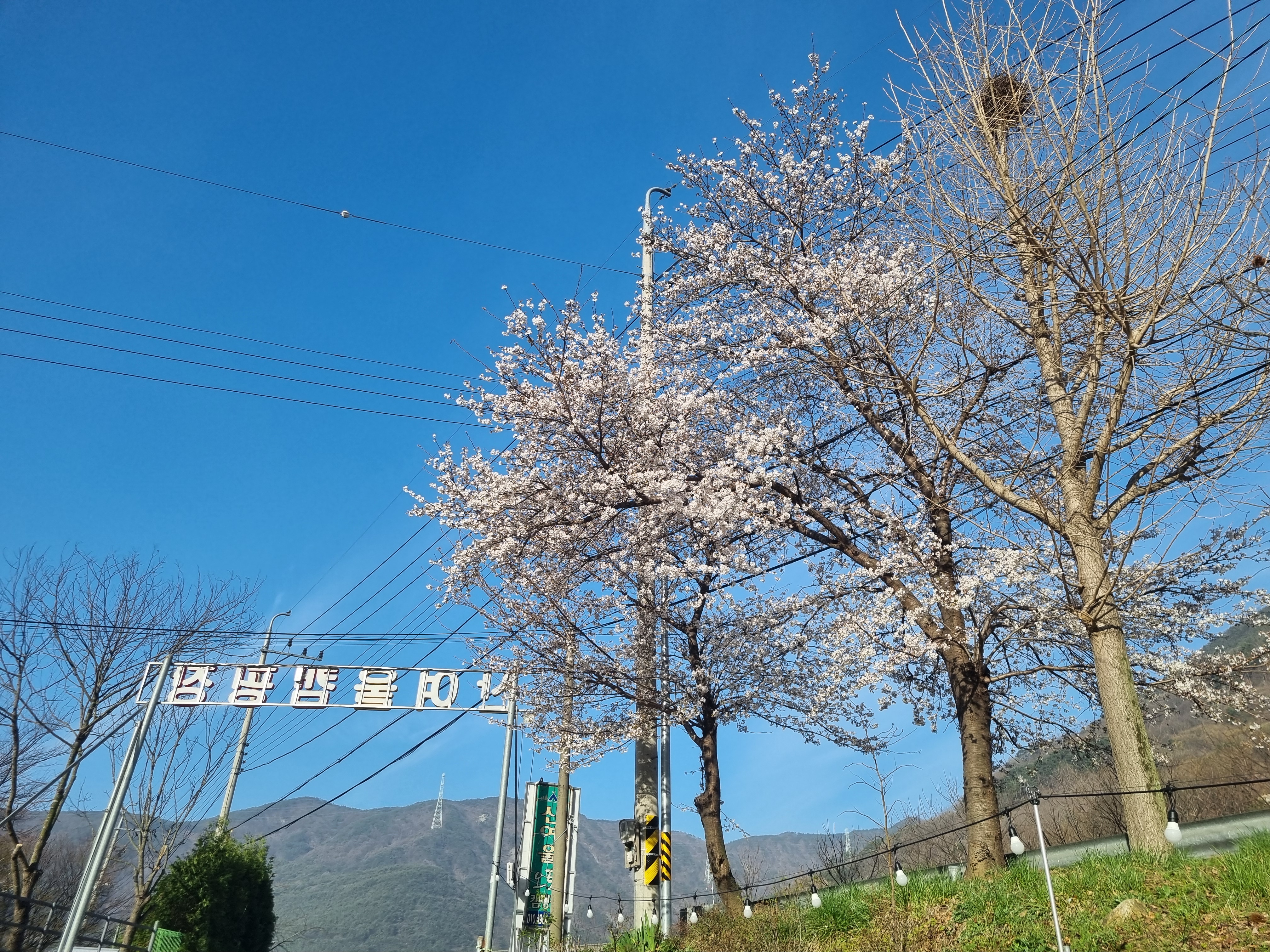 밀양 산여울캠핑장