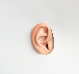 이명 치료법 진단 기준 합병증 관리