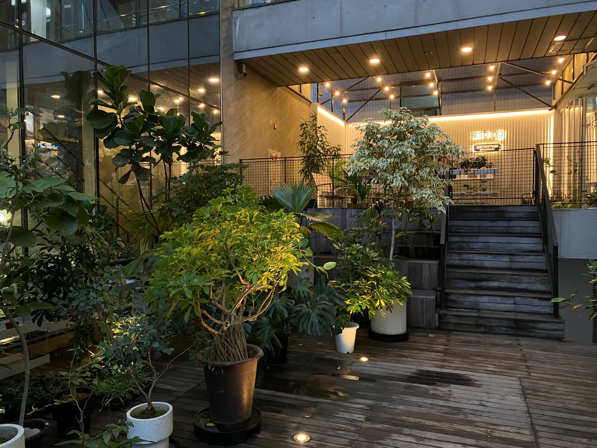 성수동-식집사-갈만한-곳-추천,-식물-구경하기-좋은-틸테이블
