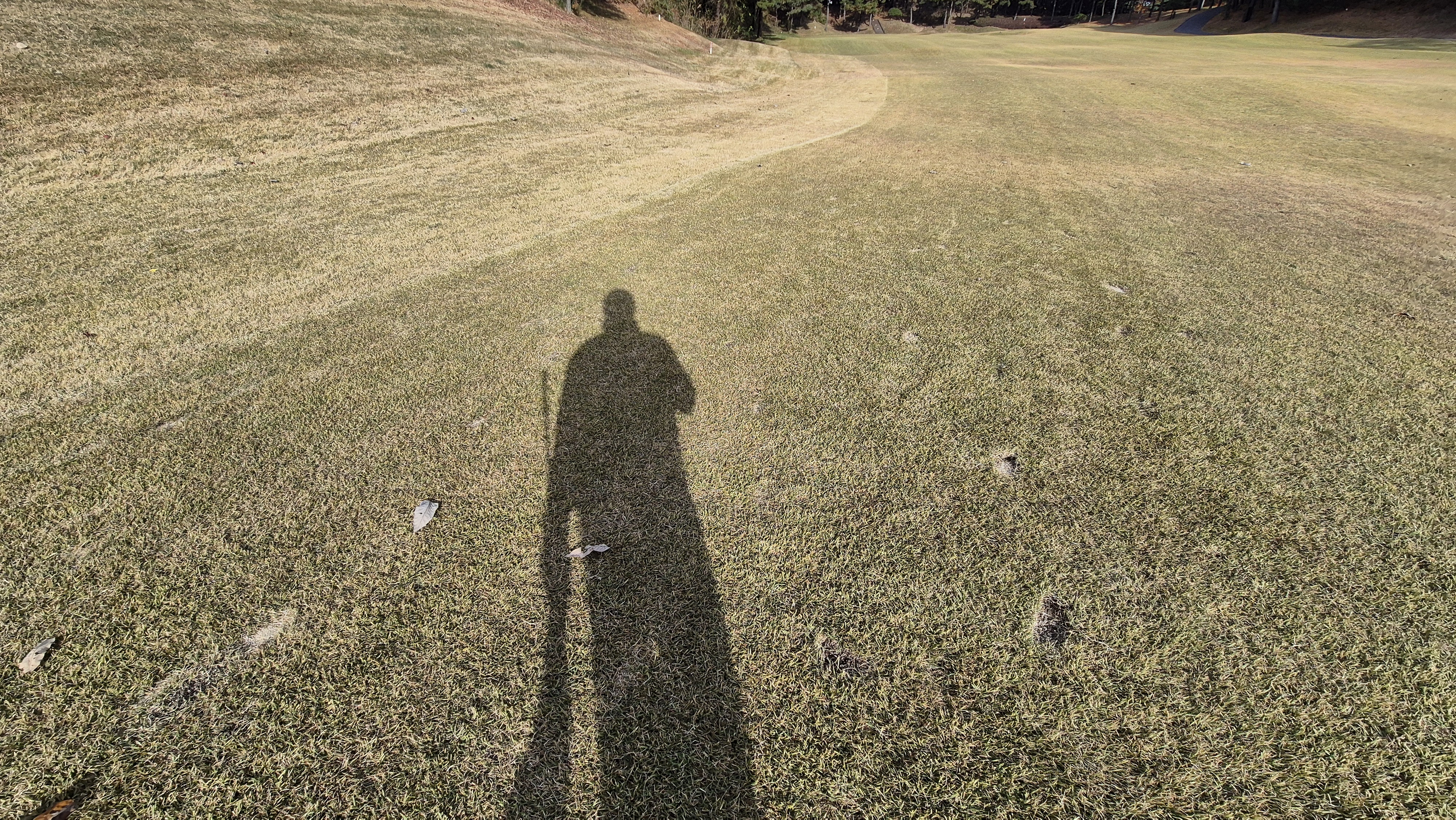 세종에머슨cc 밸리-마운틴 코스관리 상태