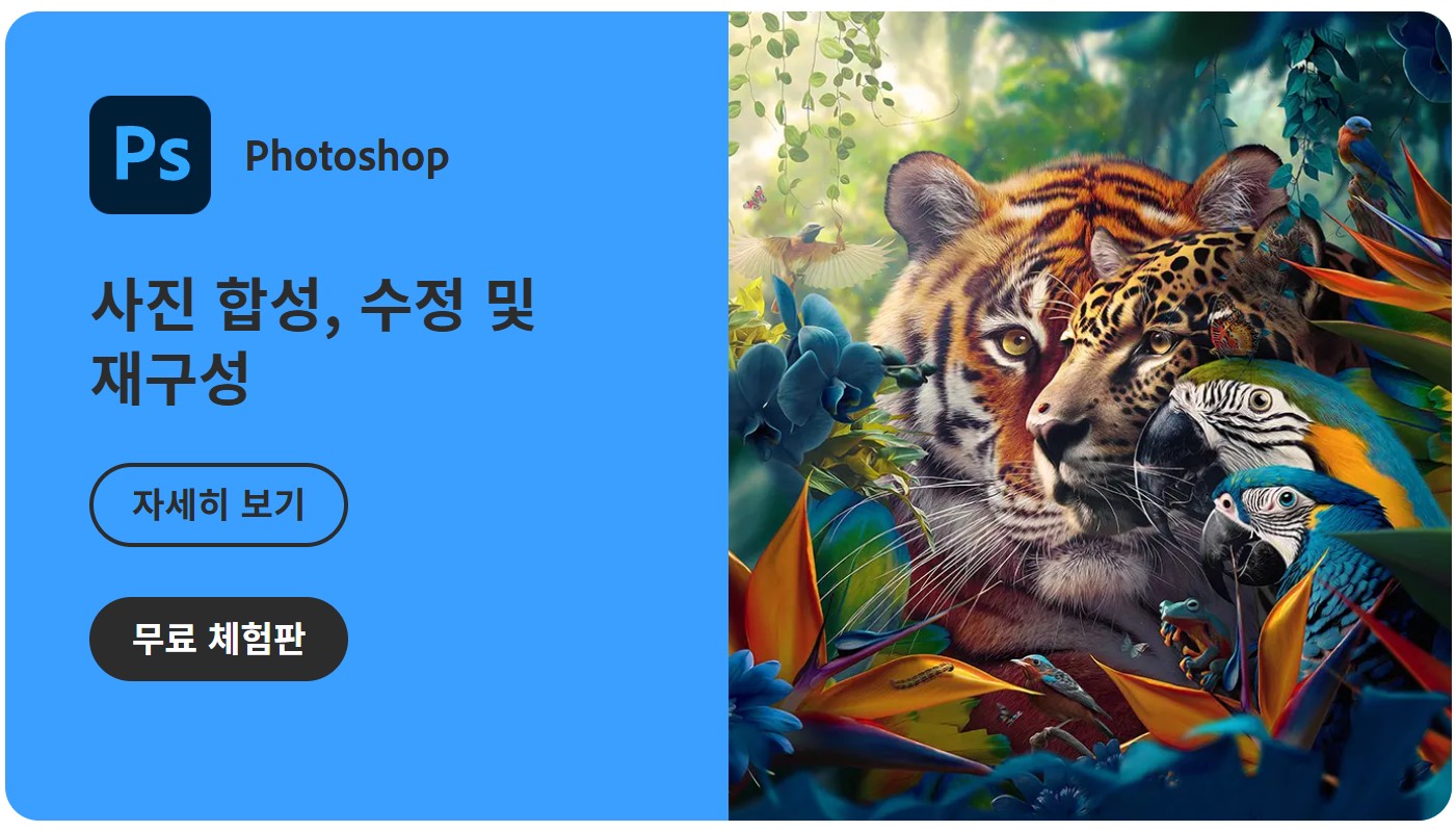 Adobe 어도비 프로그램 구독 방법: 결제 취소 및 환불