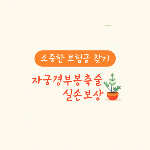 자궁경부봉축술 실손보상