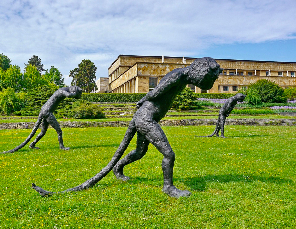 프랑크푸르트 대학교