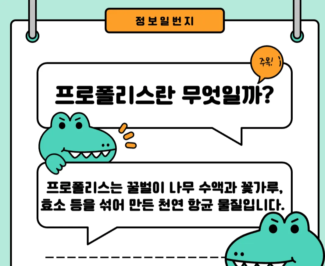 프로폴리스-효능-후기-기관지