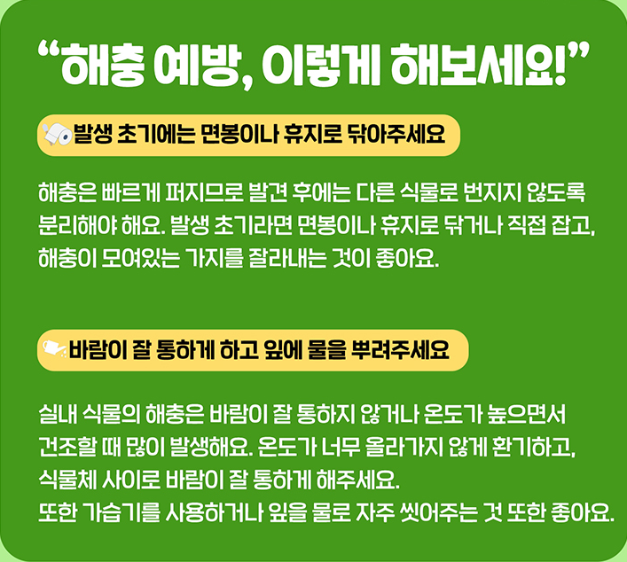 실내식물 튼튼하게 기르는 법