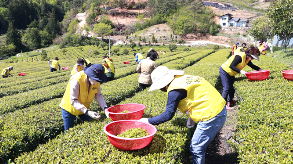 계절의 변화를 세분화한 24 절기 중 '곡우' 이해하기