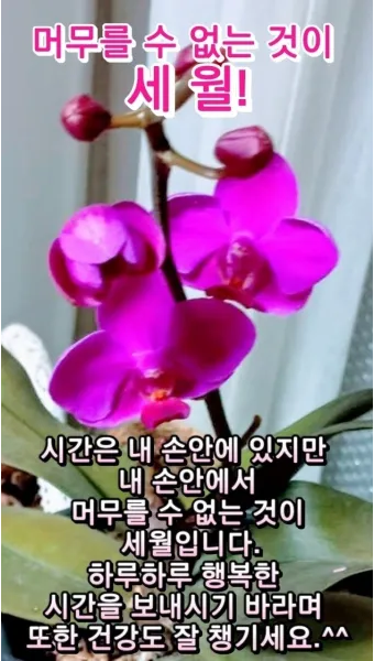 환절기 인사말 모음 예시 멘트_22