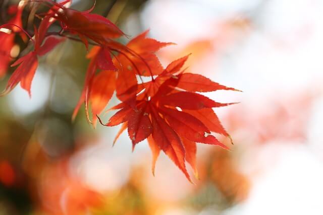대한민국 숙박세일 페스타