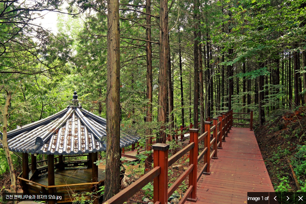 경주 가볼만한곳 베스트 10