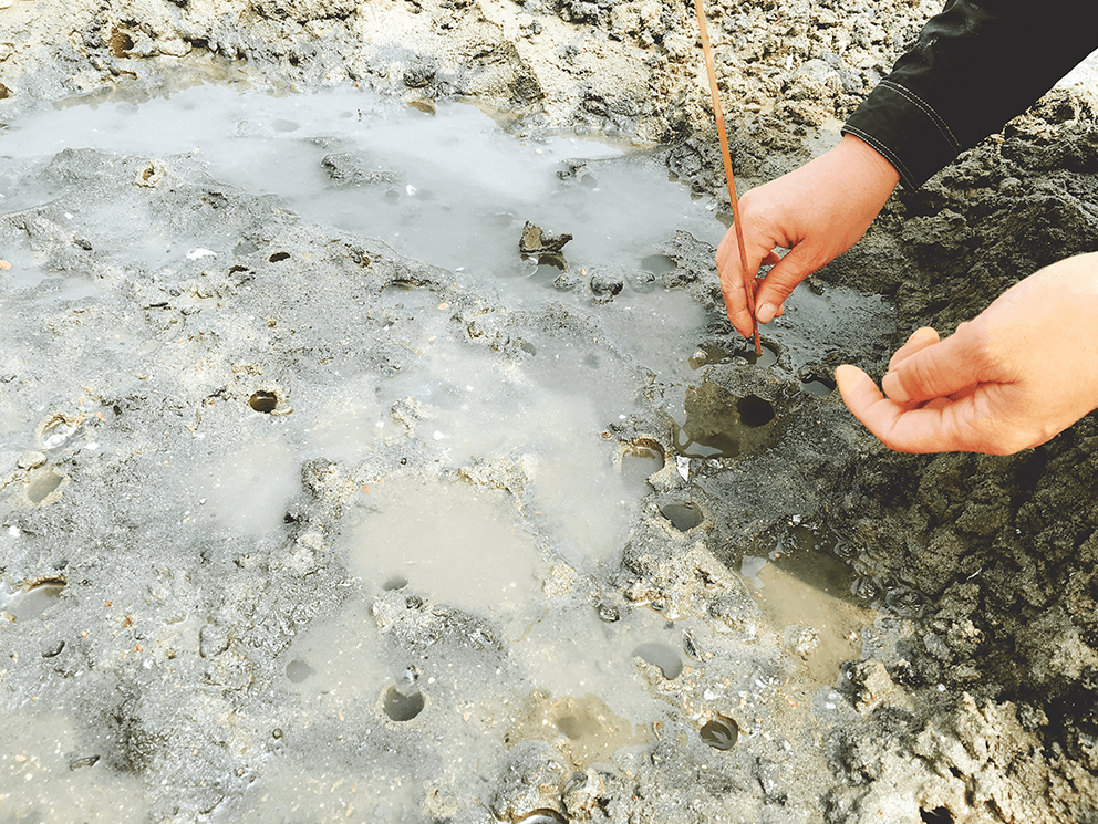 남해-둔촌갯벌체험장