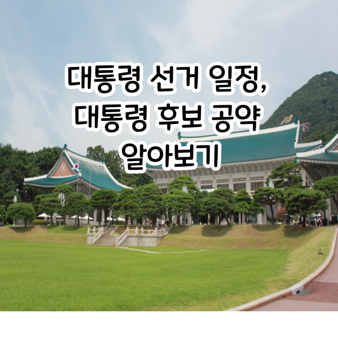 21대대통령 선거일정, 후보공약