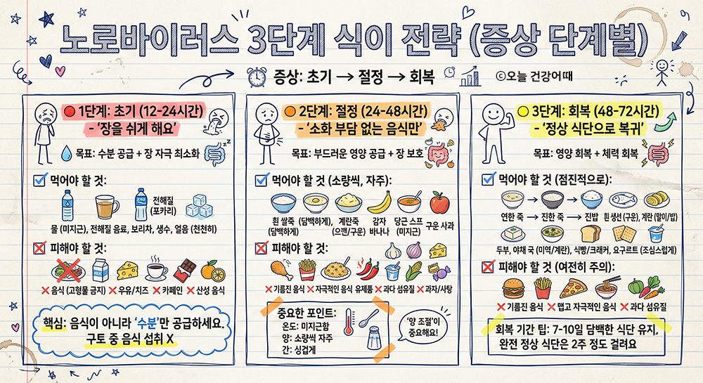 노로바이러스 3단계 식이전략