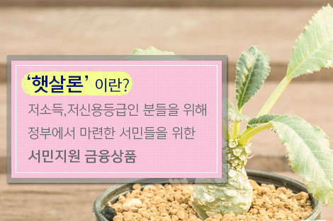화분 위의 새싹 배경에 핑크색 말풍선이 있고, 그 안에 '햇살론이란? 저소득, 저신용등급인 분들을 위해 정부에서 마련한 서민들을 위한 서민지원 금융상품'이라는 텍스트가 적힌 대표 이미지.