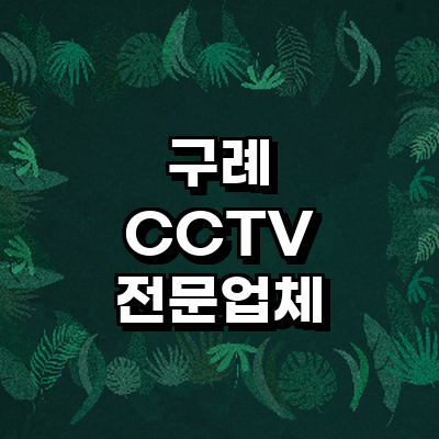 구례군 cctv