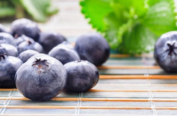 블루베리의 효능