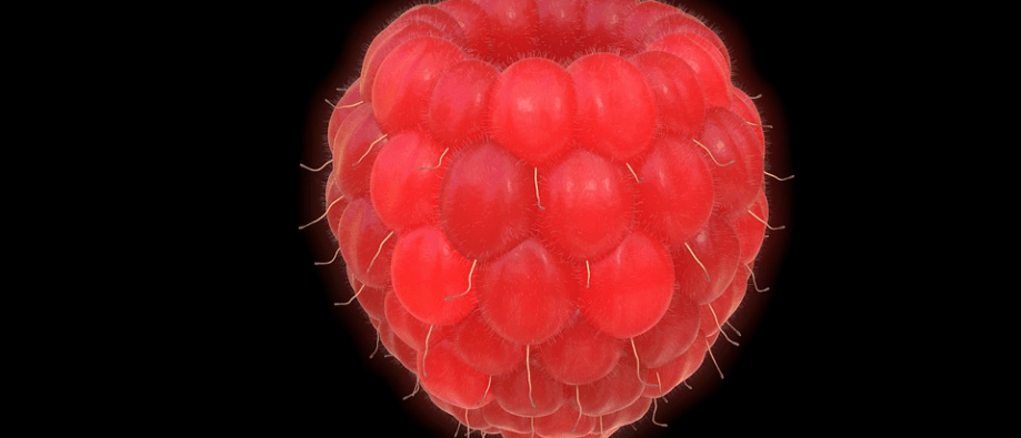 산딸기 사진 - 2