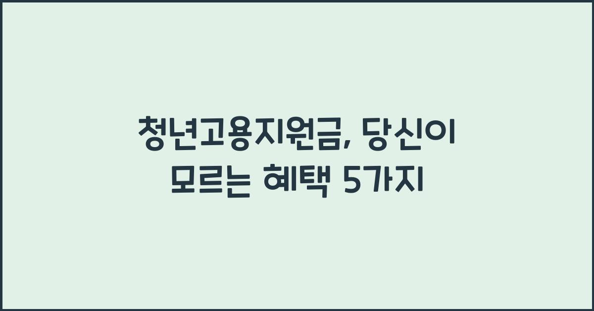 청년고용지원금