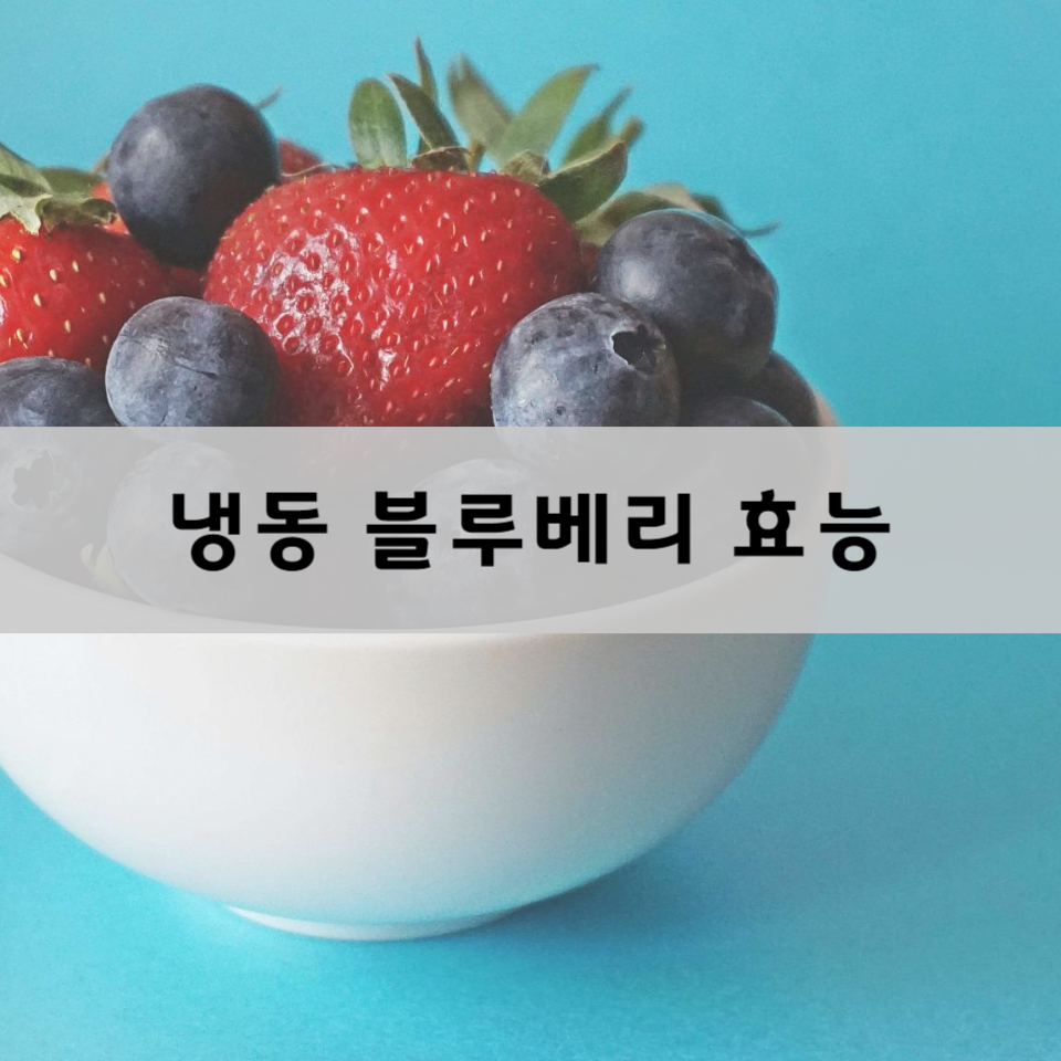 냉동-블루베리-효능