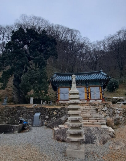 순천 천자암 : 조계산 깊은 숲 속 수행 도량 쌍향수가 전하는 천년의 울림과 수행의 향기