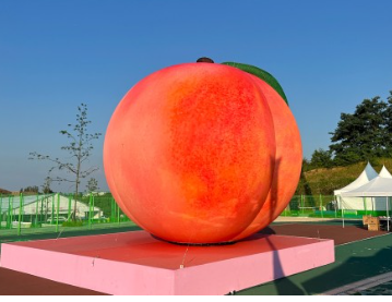 세종 조치원 복숭아축제