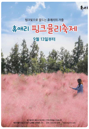 2024 휴애리 핑크뮬리 축제