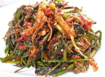 씀바귀 고들빼기 차이점 효능 비교_21