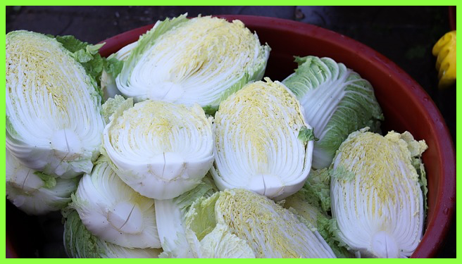 김장 재료 할인 채소 배추 마트 온라인몰 판매 최대 40%