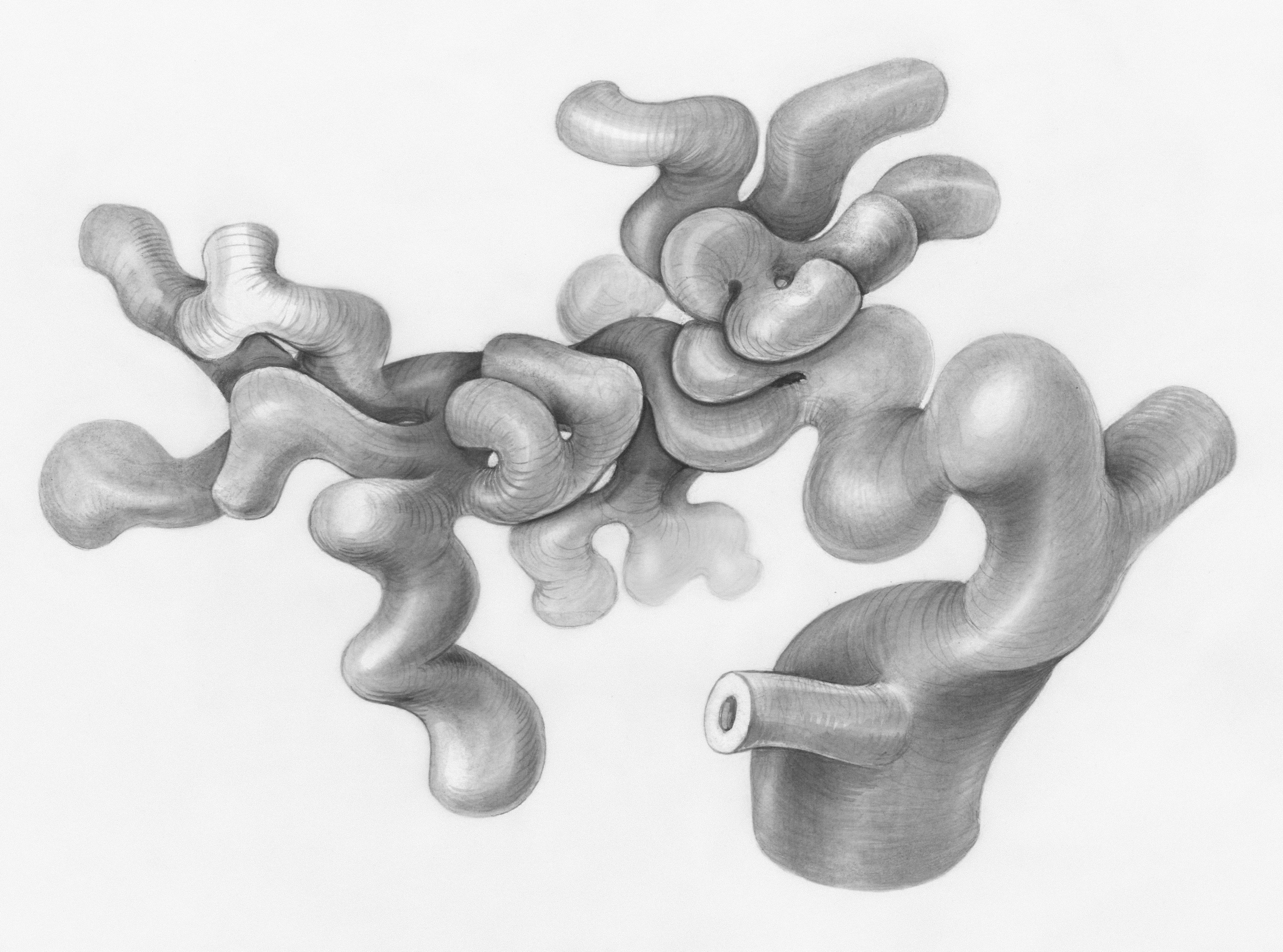 혈관에 좋은 음식