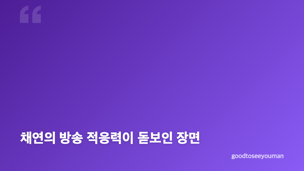 채연 47세 데뷔 24년 방송막내가 된 이유