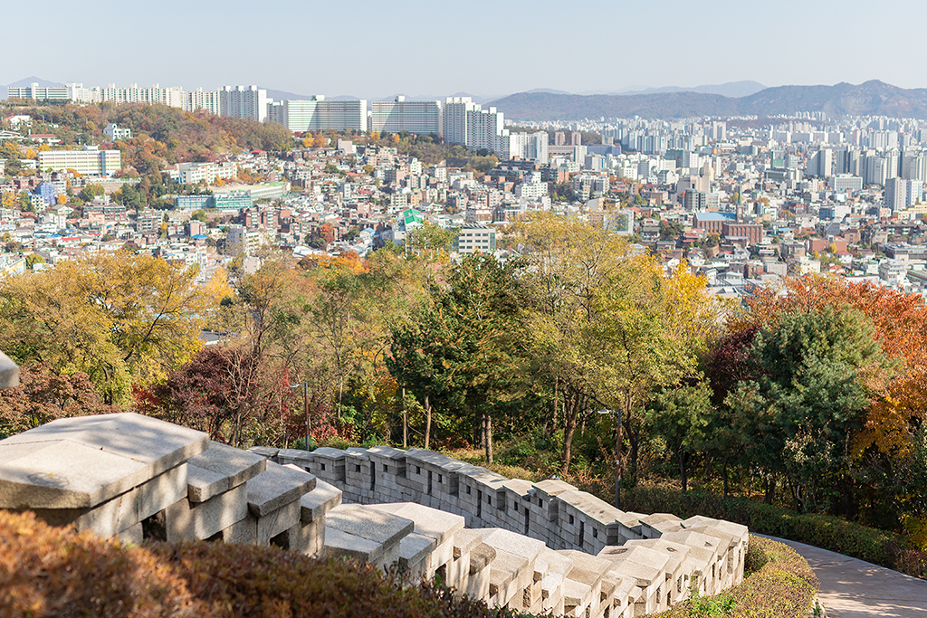 혜화문
성북동
한양도성길
백악구간
서울여행
서울단풍
가을단풍
단풍
성벽
와룡공원