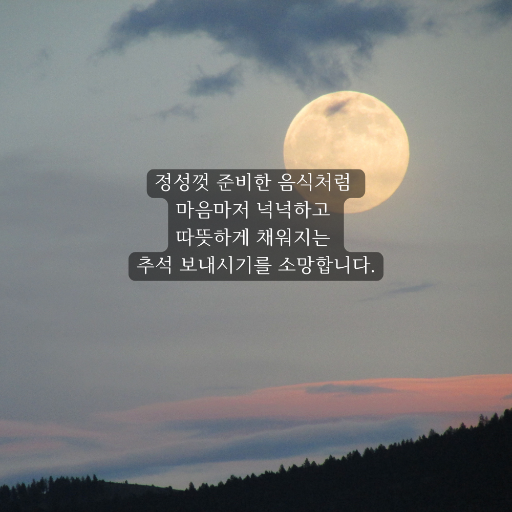 추석 인사말 한가위 인사 이미지 문구 모음집 안부