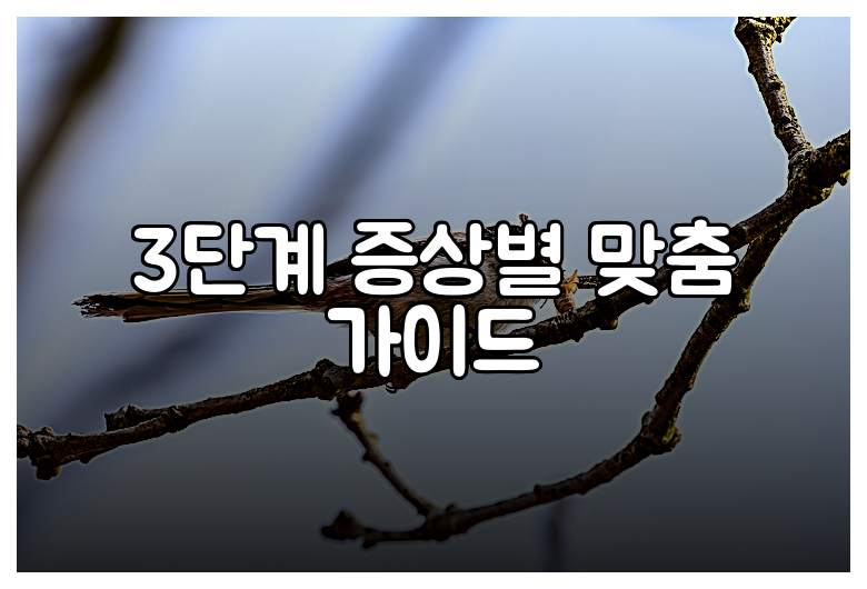 3단계 증상별 맞춤 가이드