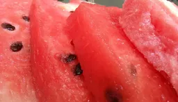 중복 음식 후기 포스팅 수익