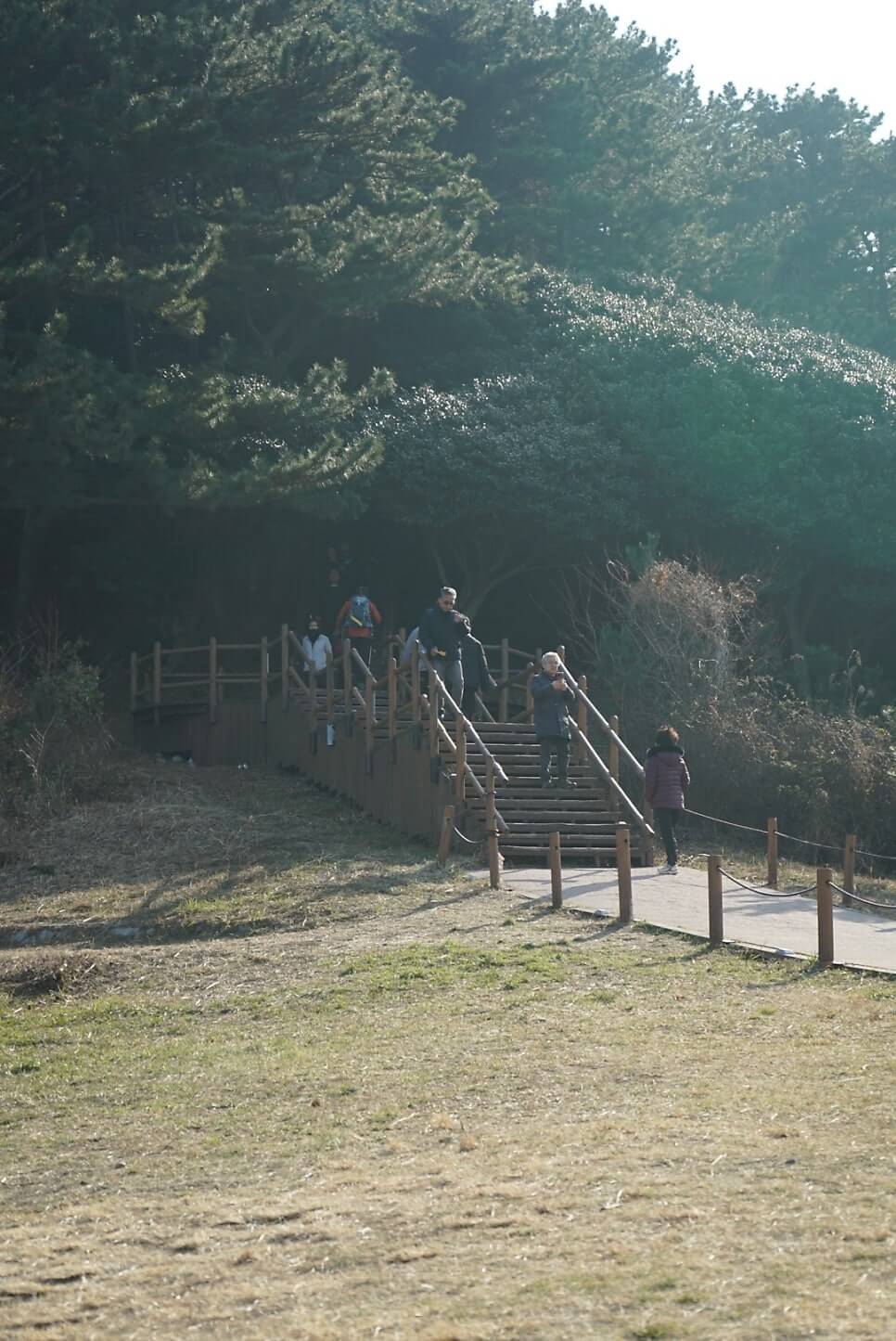 산림산업기사 응시자격