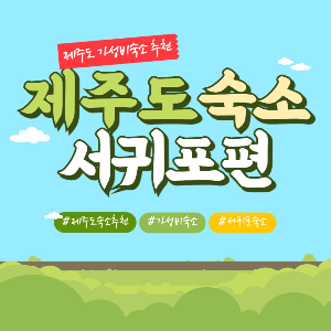 제주도 숙소 추천