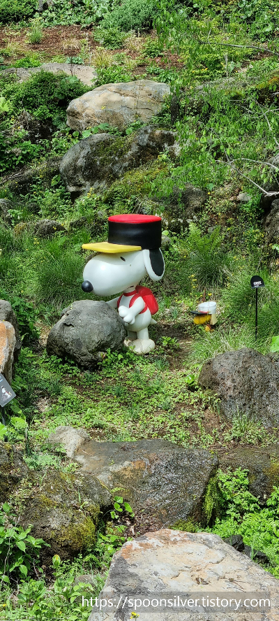 제주스누피가든