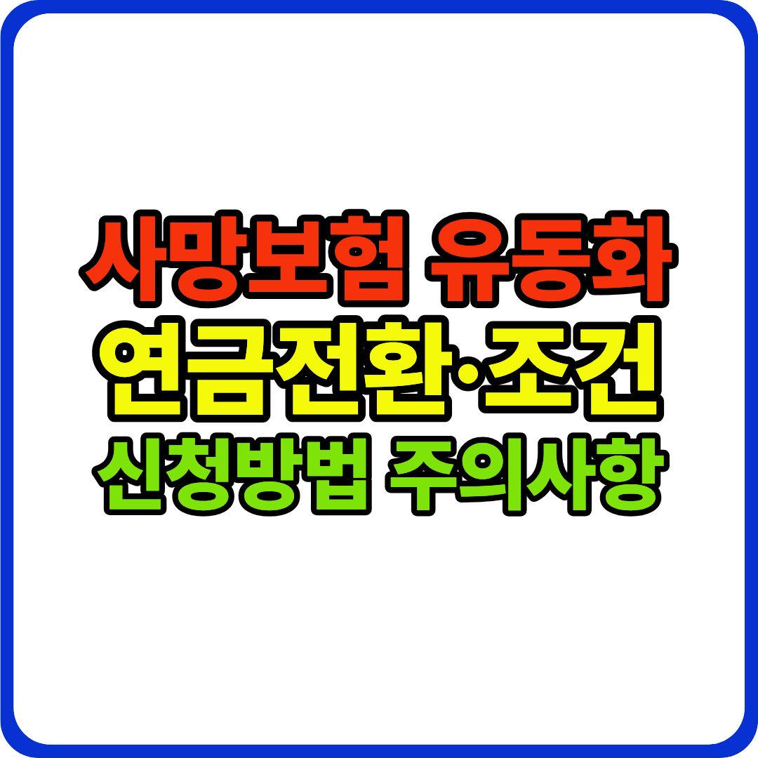 사망보험 유동화 이미지