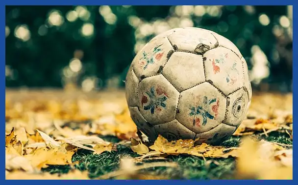 축구 국가대표 감독 연봉 순위: 클린스만&amp;#44; 만치니&amp;#44; 벤투까지 완벽 분석