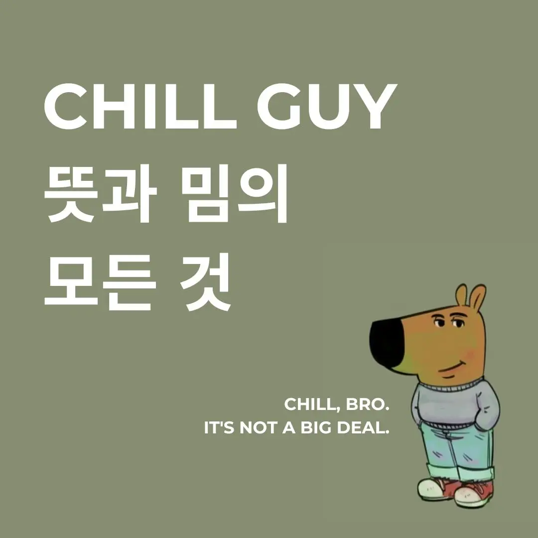Chill Guy 뜻