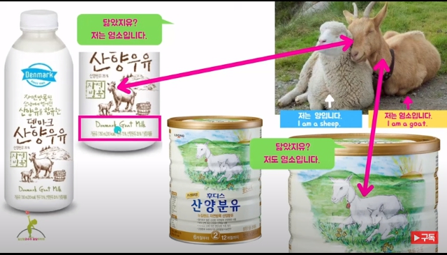 산양 우유