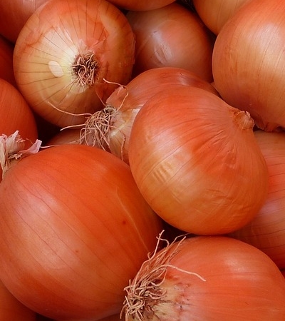 양파 효능 사진2