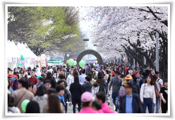 "벚꽃" 희망과 새로운 시작의 상징 봄의 전령사!