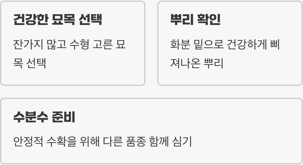 첫 단추가 중요해요, 튼튼한 모종 고르기