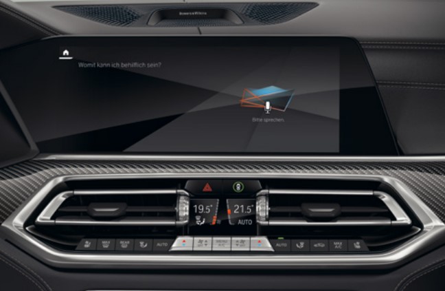 BMW X6(6)