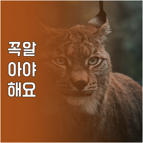 다이어트 중 야식 유혹? 현명하게 극..