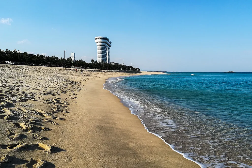 강원도 경포대 해수욕장과 강릉 가볼만한곳 best5 여행 자료집_7