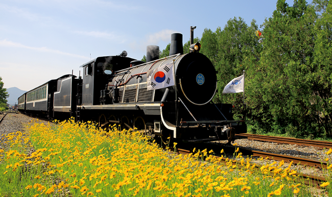 곡성 섬진강기차마을 - 기차체험·장미축제·입장료 총정리