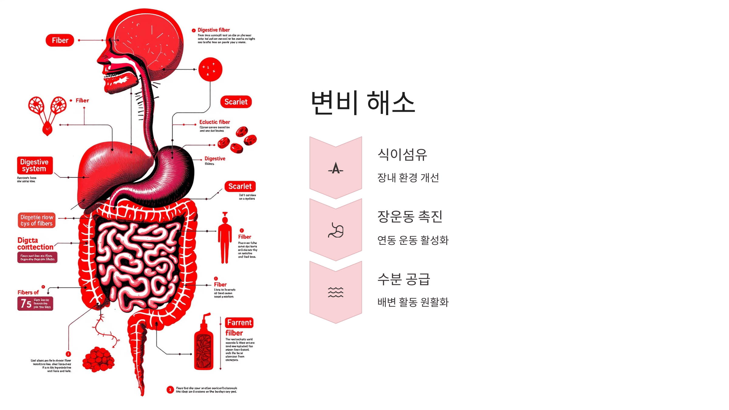 토마토 사진입니다.