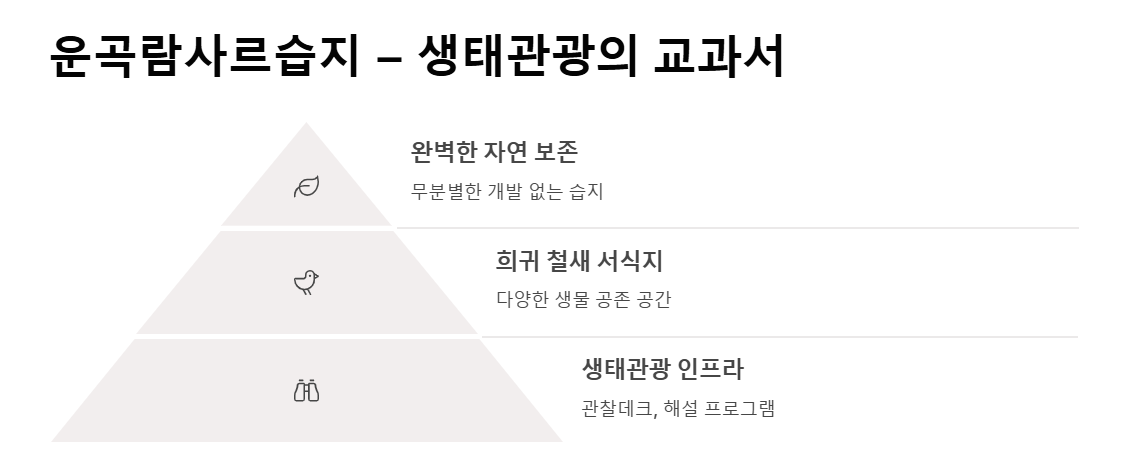 고창 여행, 꼭 가봐야 할 명소 BEST 13