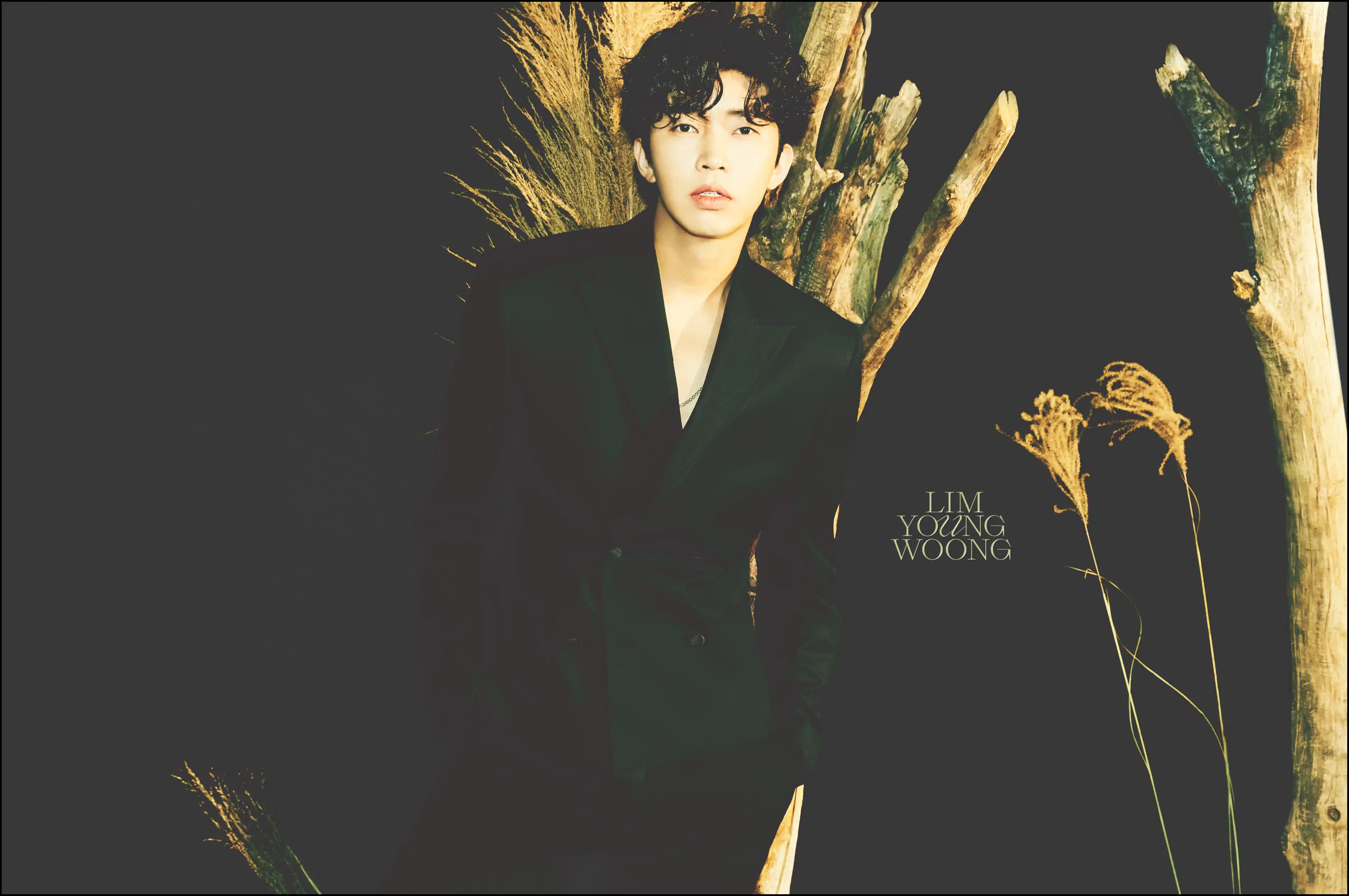 ์์์
์ฝ์ํธ ํฐ์ผ ์๋งค ์ผ์ ํ ํ์ธ (2024๋
์ฐ๋ง ๋ฆฌ์ฌ์ดํ)